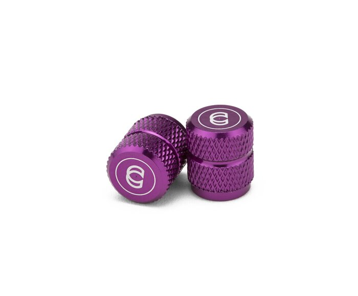 Bouchon de valve Schrader