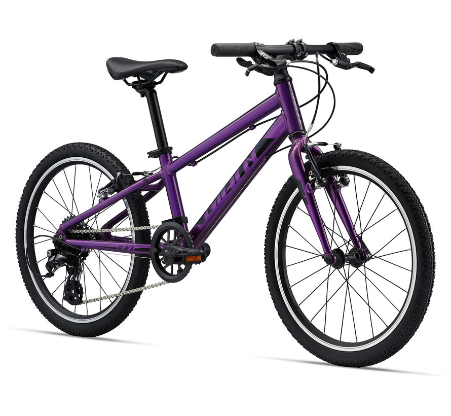 ARX 20 2023 - Vélo montagne pour Enfant de 5 à 8 ans (roue 20 pouces)