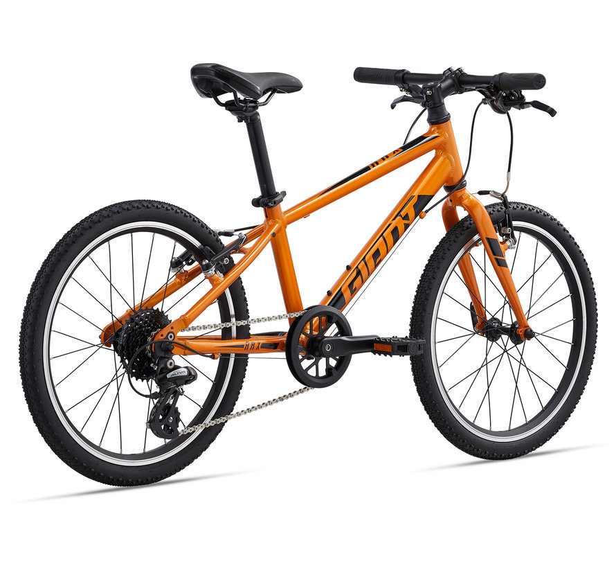 ARX 20 2023 - Vélo montagne pour Enfant de 5 à 8 ans (roue 20 pouces)