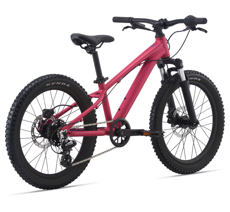 STP 20 FS 2022 - Vélo montagne simple suspension Enfant 5 à 9 ans (roues 20 pouces)