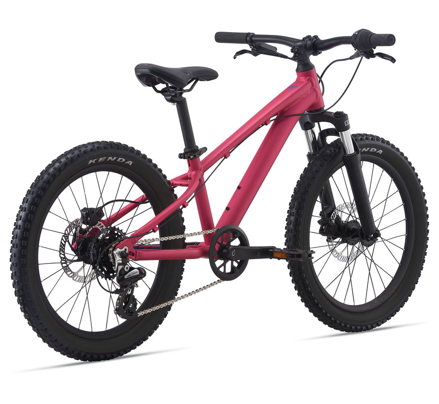 STP 20 FS 2024 - Vélo montagne simple suspension Enfant 5 à 9 ans (roues 20 pouces)