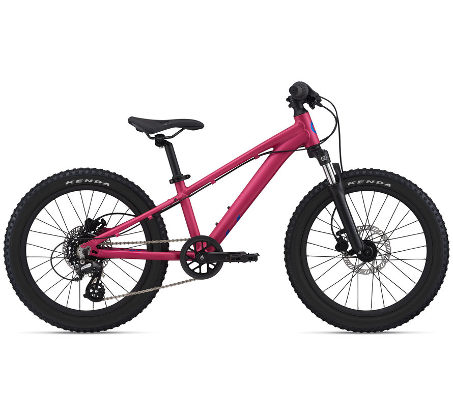 STP 20 FS 2024 - Vélo montagne simple suspension Enfant 5 à 9 ans (roues 20 pouces)