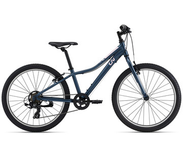 Scott roxter 24 teal blue bike hotsell