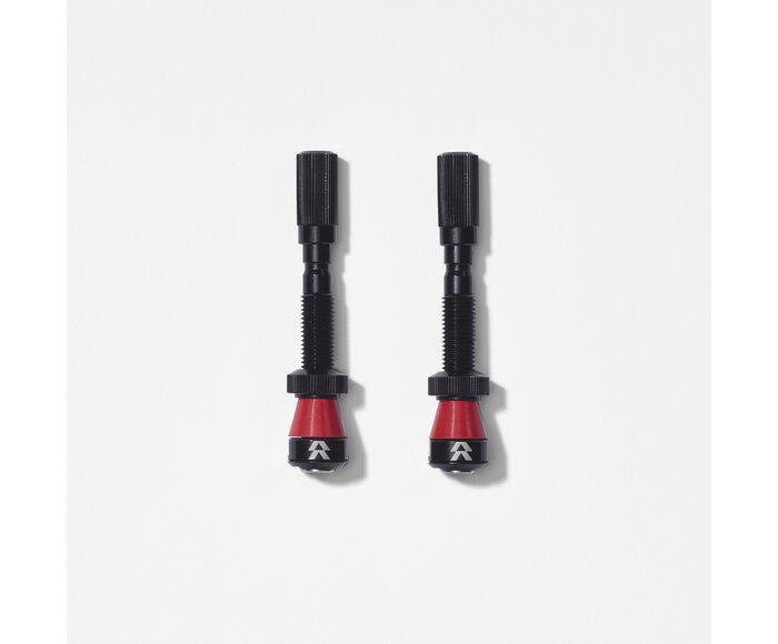 Valve Tubeless Fillmore (presta)