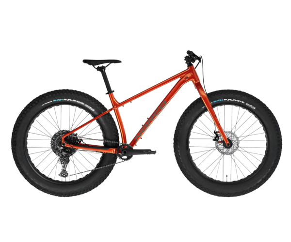 Norco Bigfoot 3