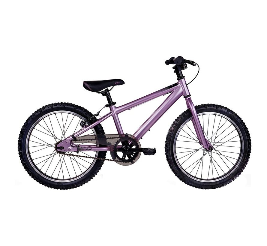 Rock Ridge 20 2022 - Vélo hybride pour enfant (roues 20 pouces)