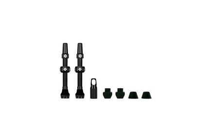 Valve Tubeless V2 Presta (paire)