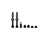 Valve Tubeless V2 Presta (paire)
