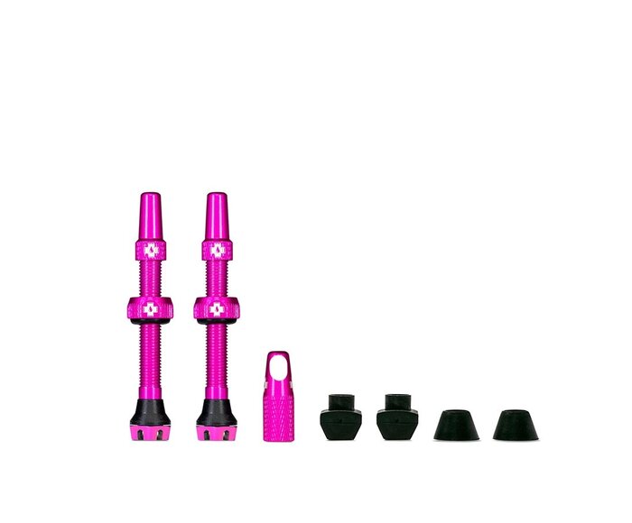 Valve Tubeless V2 Presta (paire)