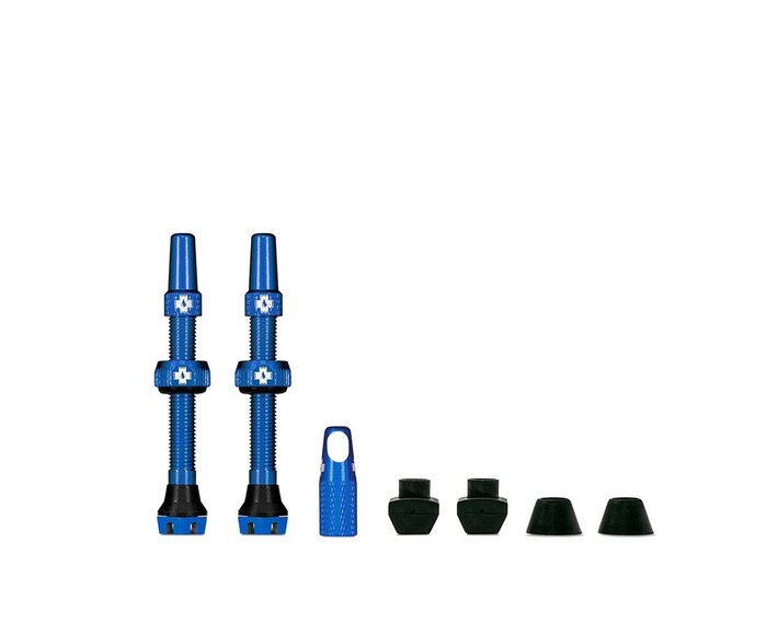 Valve Tubeless V2 Presta (paire)