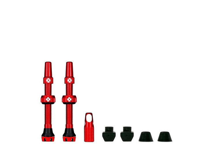 Valve Tubeless V2 Presta (paire)