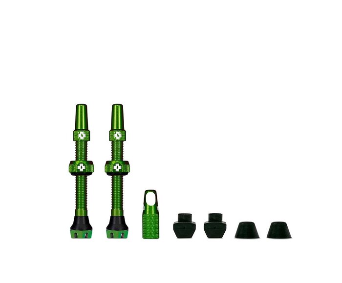 Valve Tubeless V2 Presta (paire)