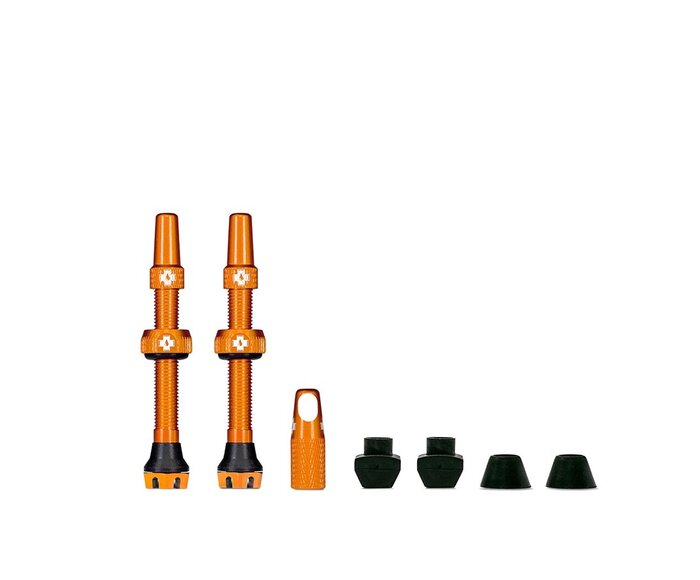 Valve Tubeless V2 Presta (paire)