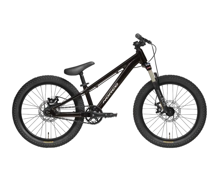 Rampage 2.2 2024 - Vélo de montagne de street Dirt jump