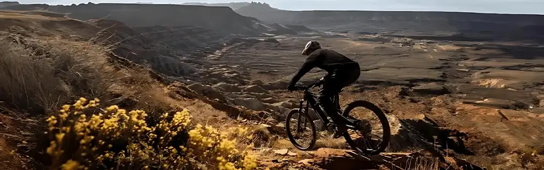 Cycliste de vélo électrique de montagne parcourant des sentiers en montagne.