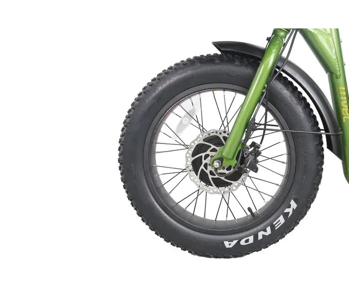 Move Fat 2025 - Tricycle Vélo électrique 3 roues