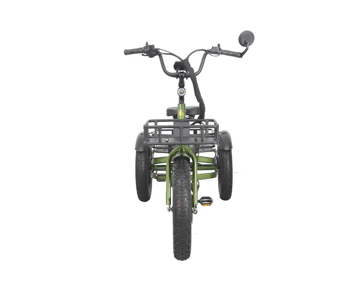 Move Fat 2025 - Tricycle Vélo électrique 3 roues