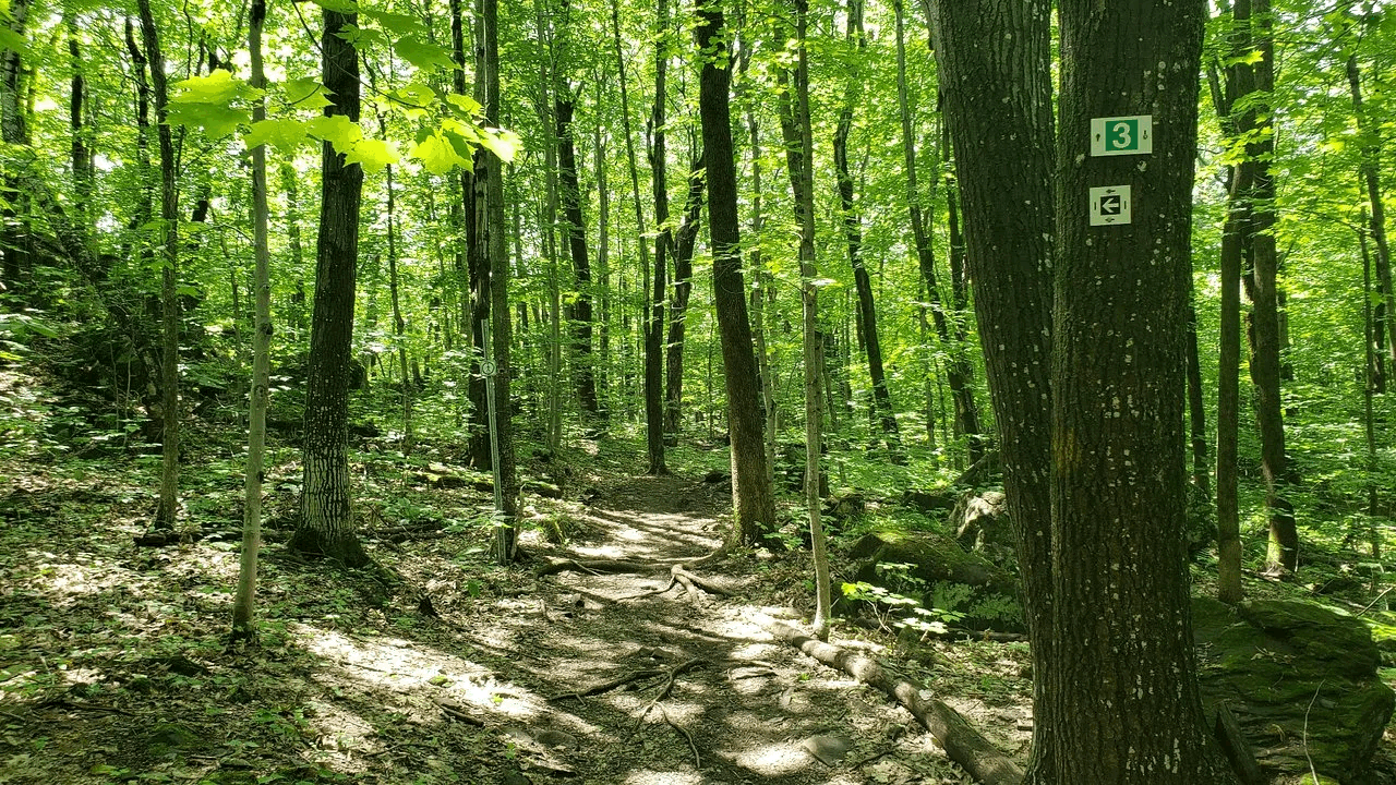 Parc Valero Les Écarts – Lévis