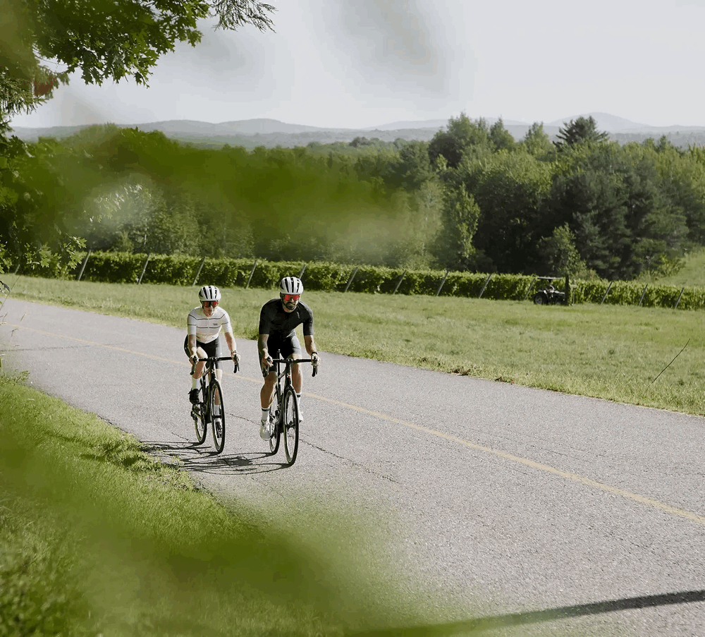 Vue du vignoble de l’Orpailleur dans les Cantons-de-l’Est, avec rangées de vignes et cyclistes sur la Route des Vins.