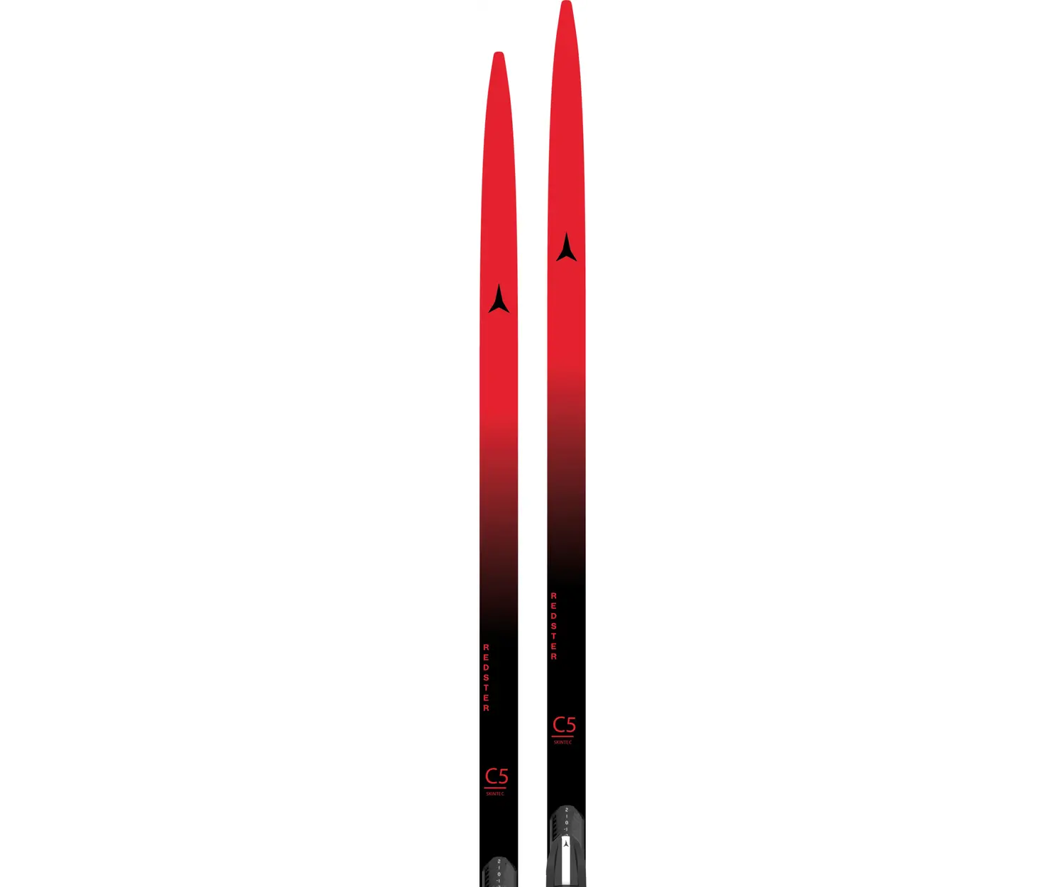 Atomic Redster C5 Skintec