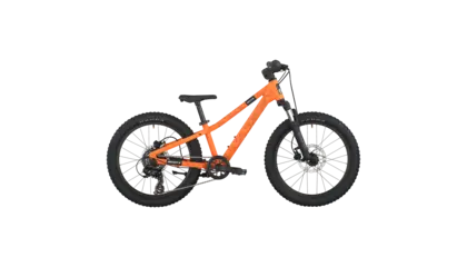 Roxter 200 2026 - Vélo montagne pour enfant 5 à 8 ans (20 pouces)