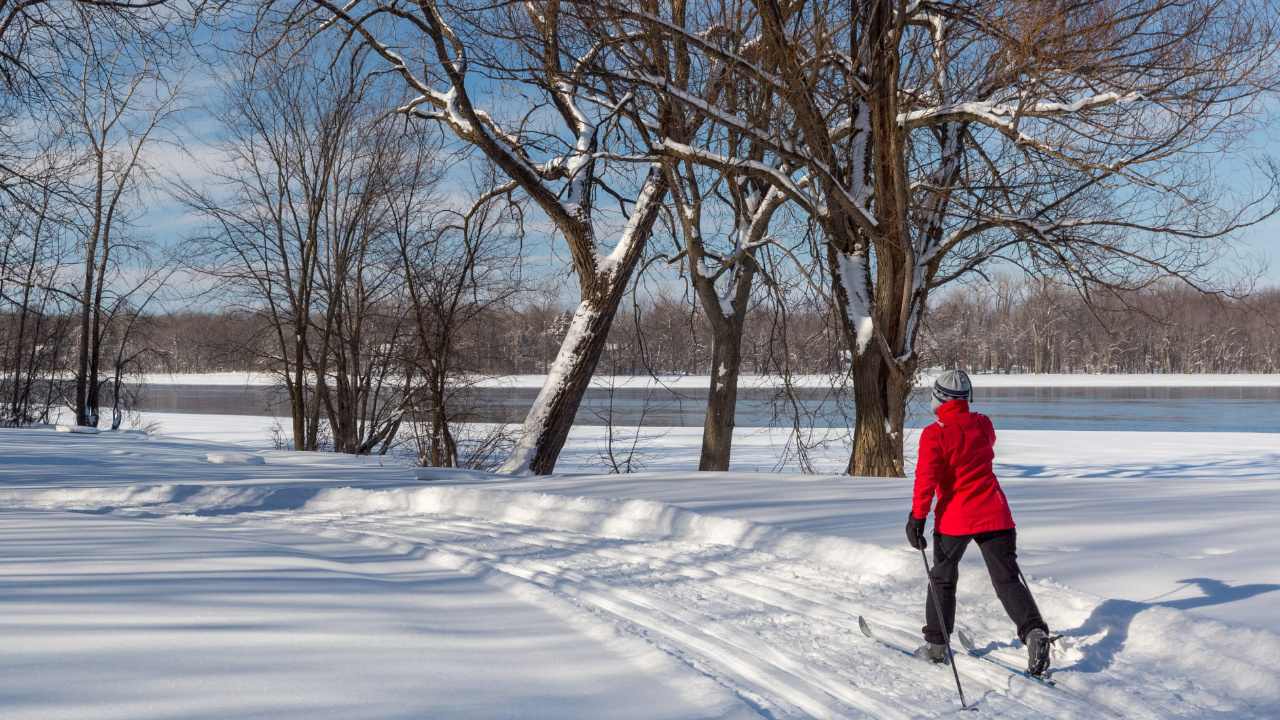 Profiter des sentiers en ski de fond - parc-nature du cap-saint-jacques