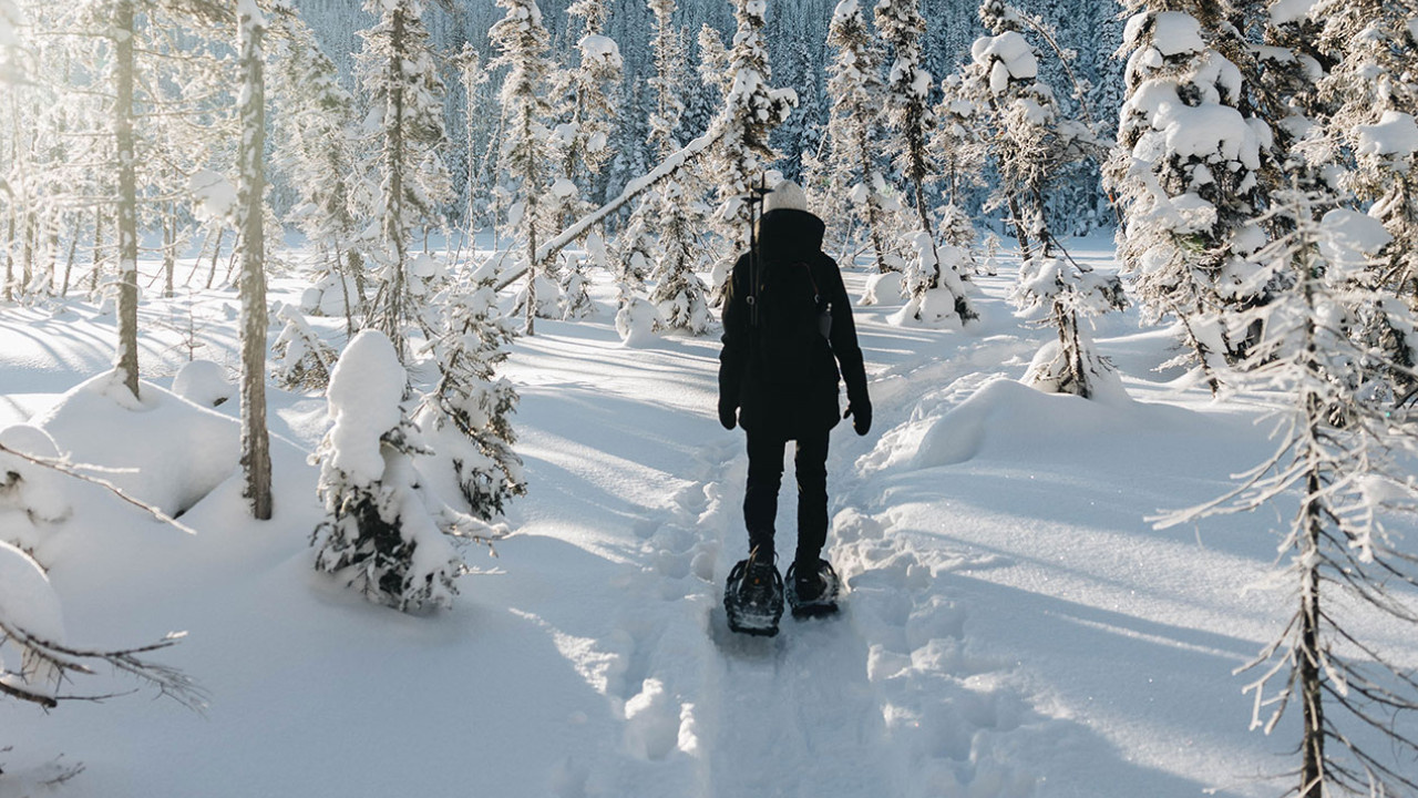 Partir en randonnée en raquettes