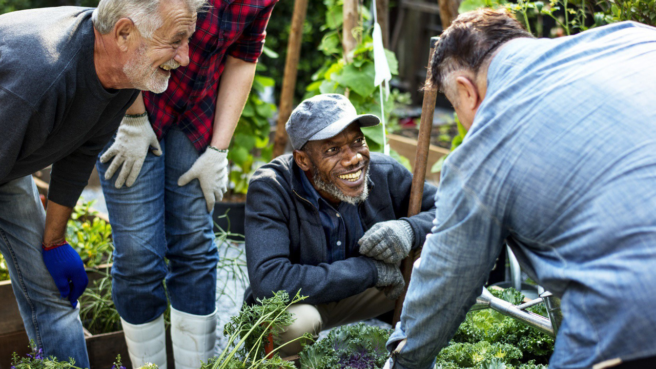 plusieurs personnes dans un jardin communautaire