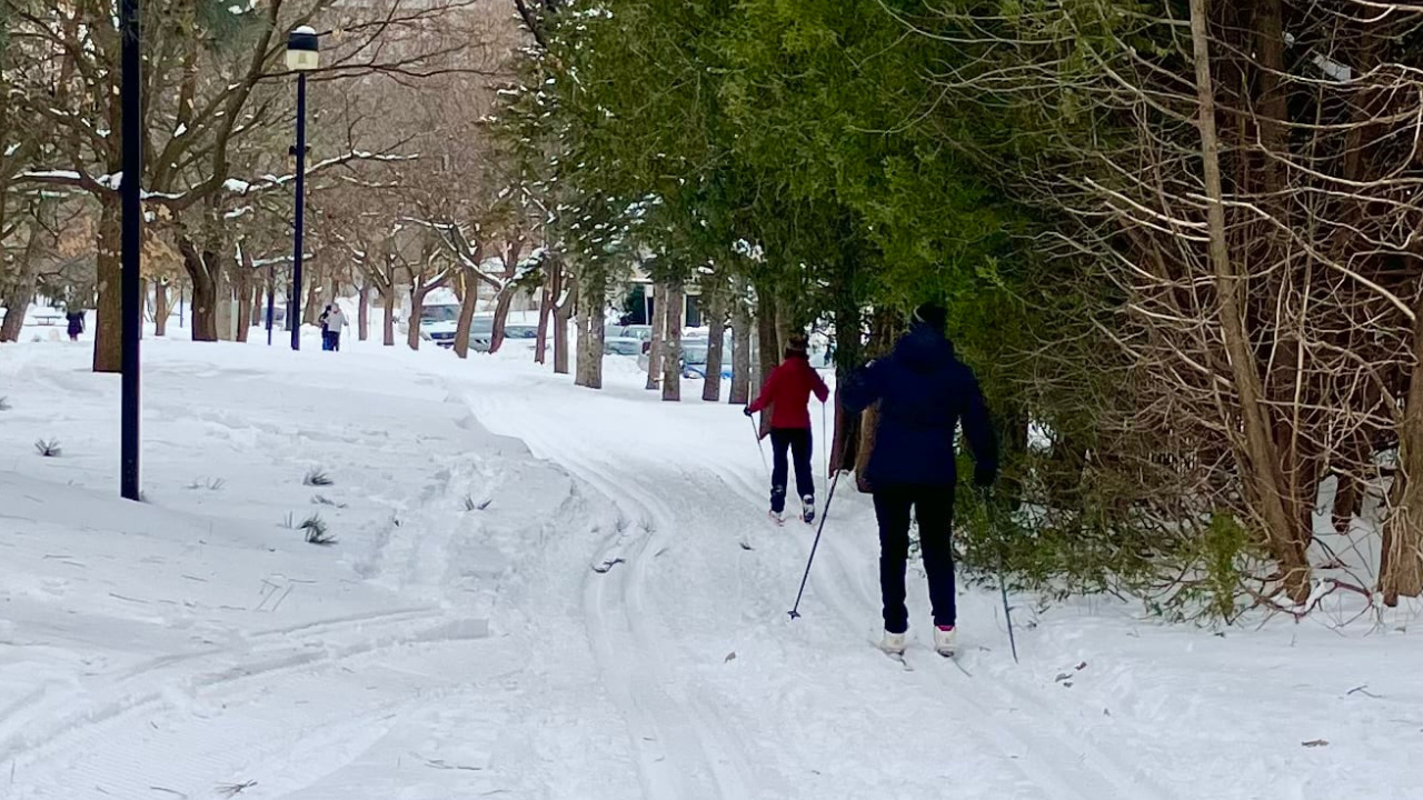 Parc-nature de l’Île-de-la-Visitation