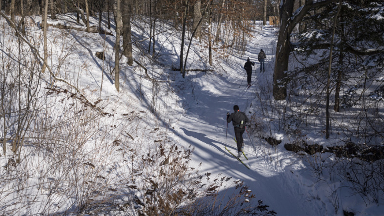 Parc-nature du Bois-de-Liesse