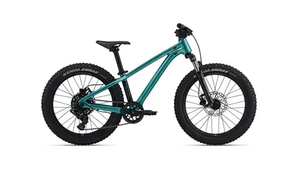 STP 20 FS 2026 - Vélo montagne simple suspension pour Enfant 5 à 9 ans (roues 20 pouces)