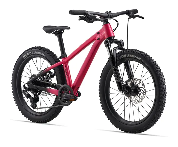 STP 20 FS 2026 - Vélo montagne simple suspension pour Enfant 5 à 9 ans (roues 20 pouces)