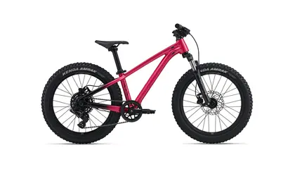 STP 20 FS 2027 - Vélo montagne simple suspension pour Enfant 5 à 9 ans (roues 20 pouces)