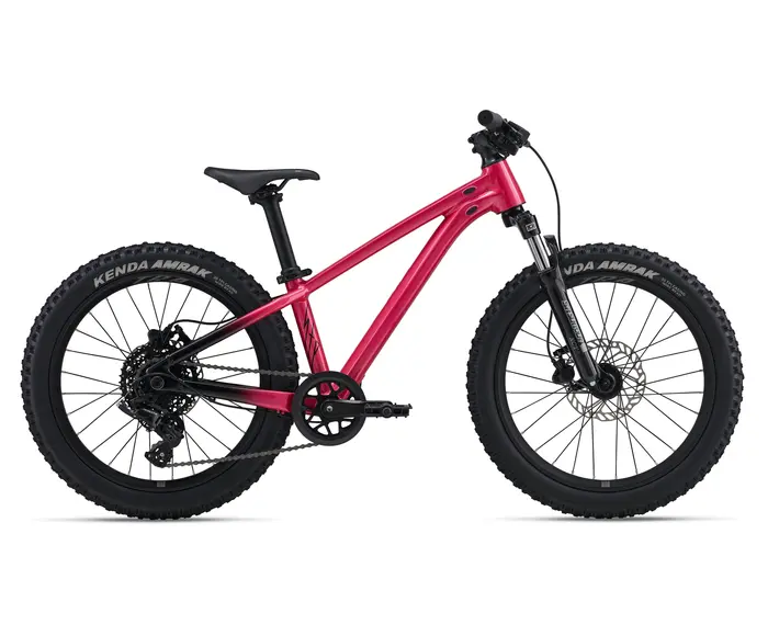 STP 20 FS 2026 - Vélo montagne simple suspension pour Enfant 5 à 9 ans (roues 20 pouces)