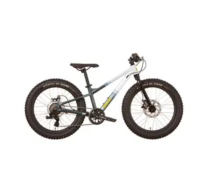 VTT 20 Pouces Enfant – Dérailleur, Freins V-Brake, Garde-boue, Pour 6 à 12 Ans, Route Et Tout-terrain !