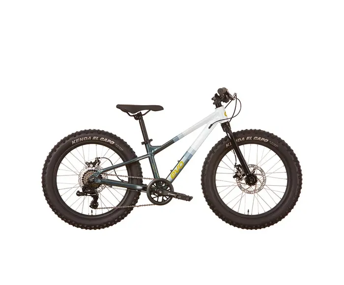 Cadet 20 2025 - Vélo pour enfant (20 pouces)