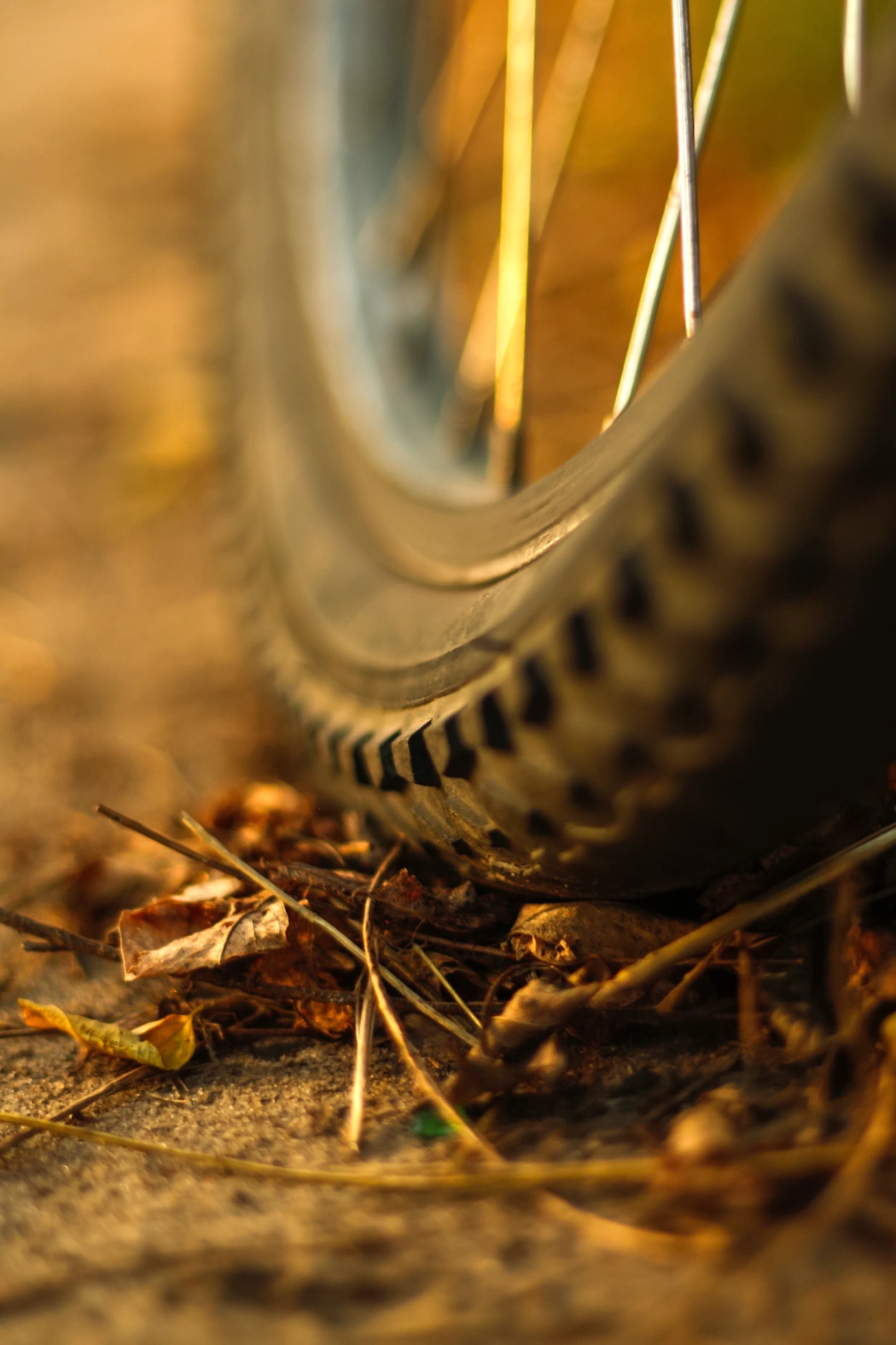 Gros plan sur un pneu de vélo à crampons montrant l’influence du type de pneus sur l’adhérence en chemin.