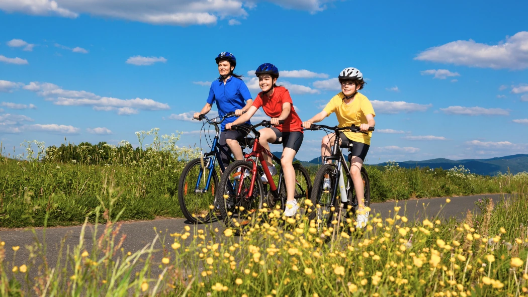 Top 5 des meilleurs vélos pour débutants
