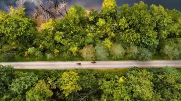 Tout savoir : le petit train du Nord à faire en vélo
