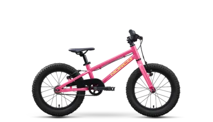 Storm 16 2027 - Vélo enfant 4 à 6 ans (roue 16 pouces)