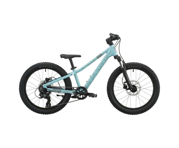 Roxter 200 2027 - Vélo montagne pour enfant 5 à 8 ans (20 pouces)
