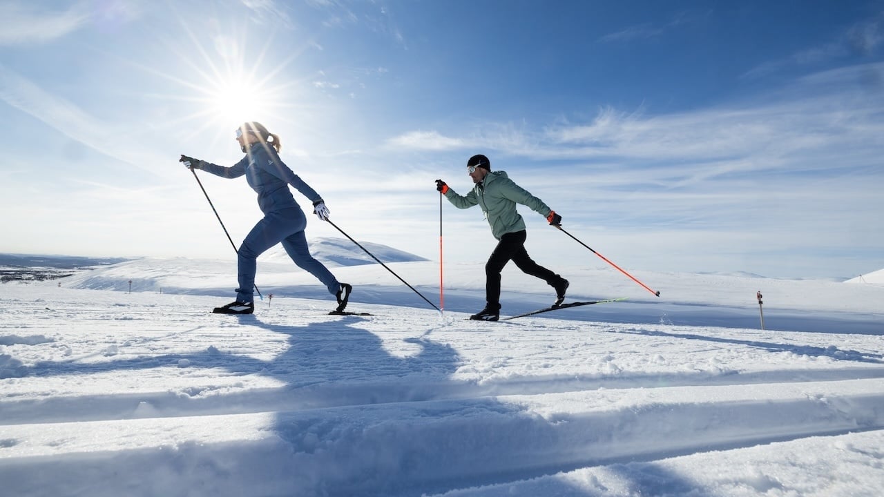 Skis de fond Fischer : prix selon la gamme