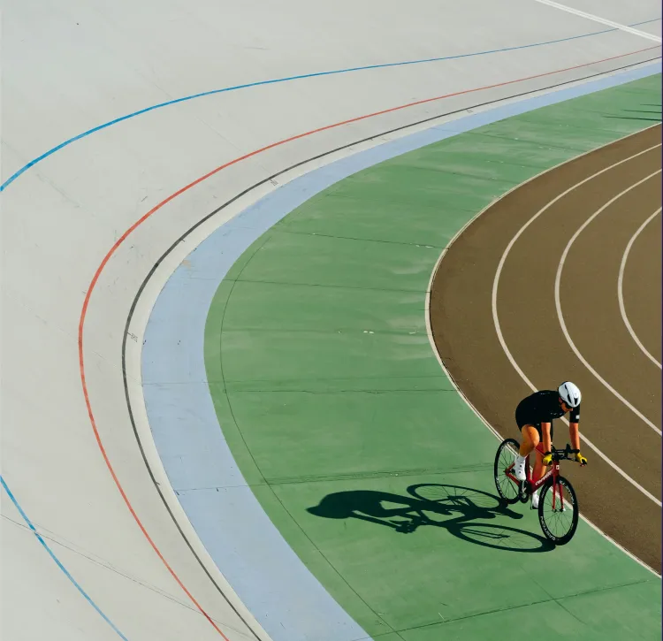 Découvrez les nouveautés