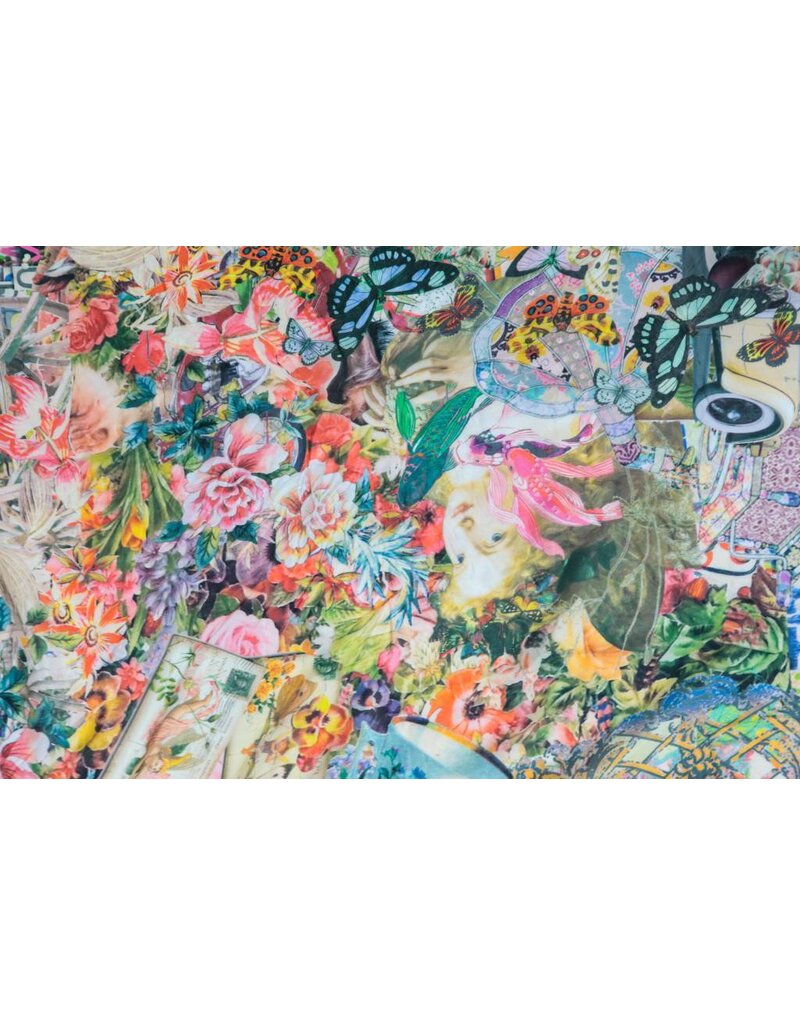 Johnny Was Butterfly Print Scarf