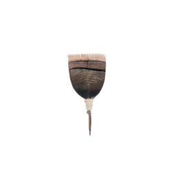 Brackish Turkey Feather Pin