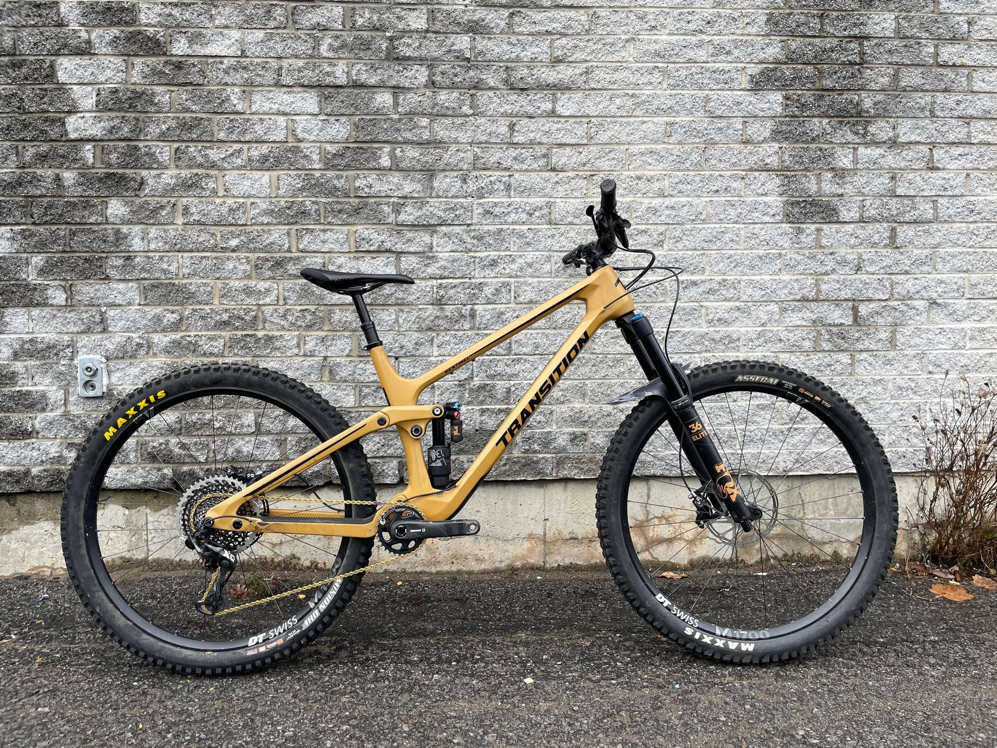 Vélo Transition Sentinel Carbon X01 2020 Beige X-Large