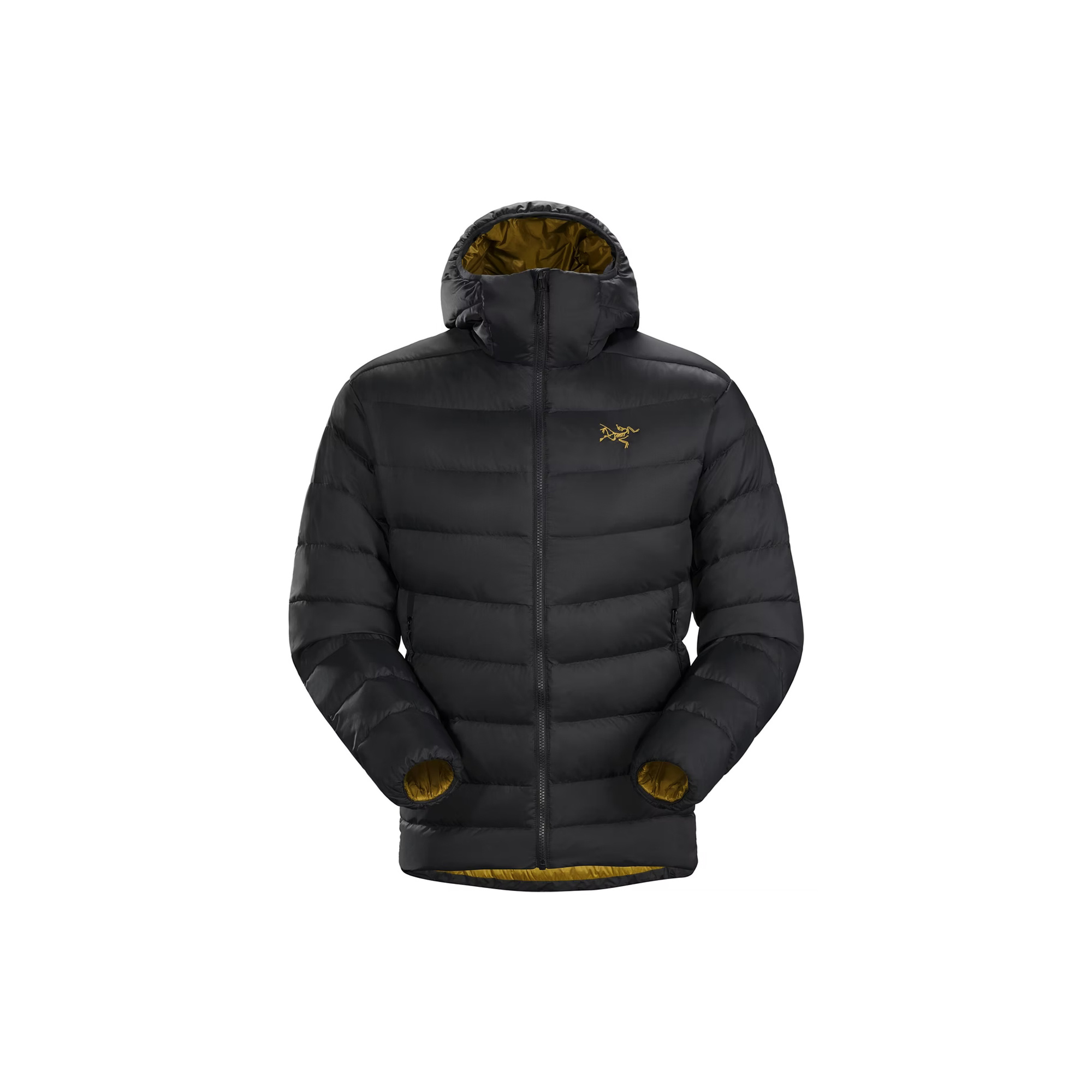 Arc'teryx Arc'teryx Thorium AR Hoody Homme Arc'teryx Arc'teryx Thorium AR Hoody Homme