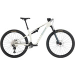Salsa Spearfish C Deore 12 Bike - 29", Carbon, Bone White, X-Large