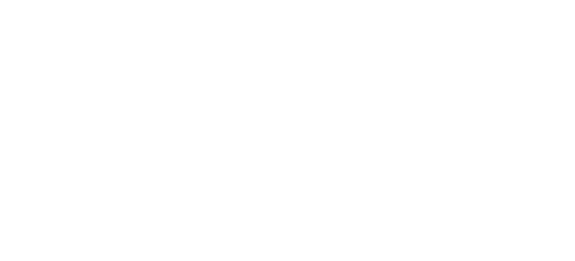 Flagstaff Bicycle Revolution