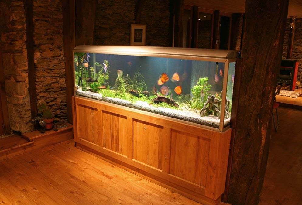 fish tank